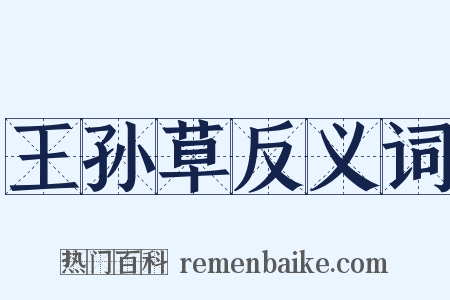 王孙草反义词是什么意思的图片